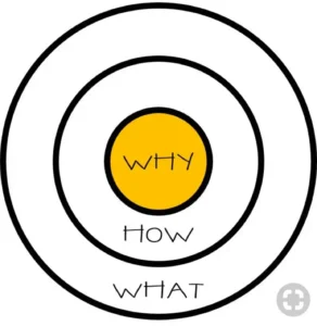 Read more about the article Do you know your Why-How-What of your investments?